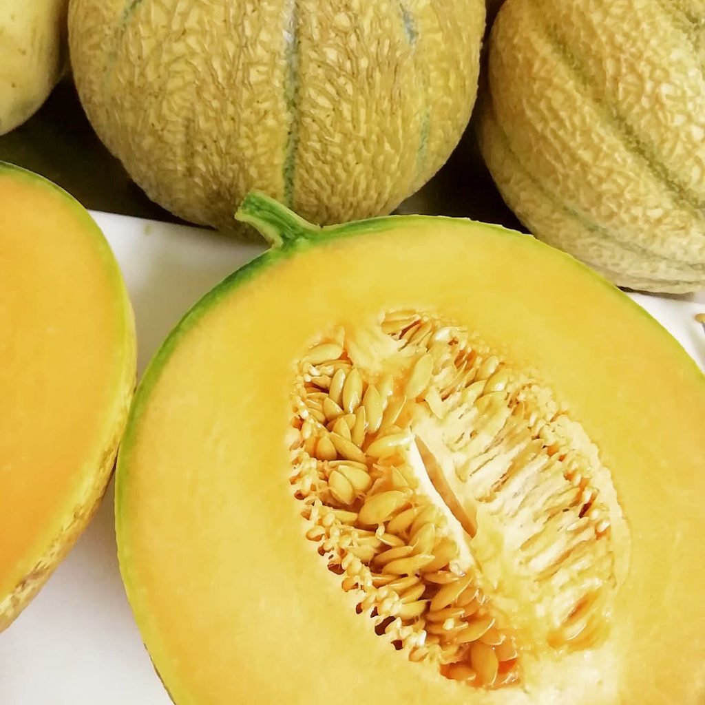 Melon Charentais – Image 2